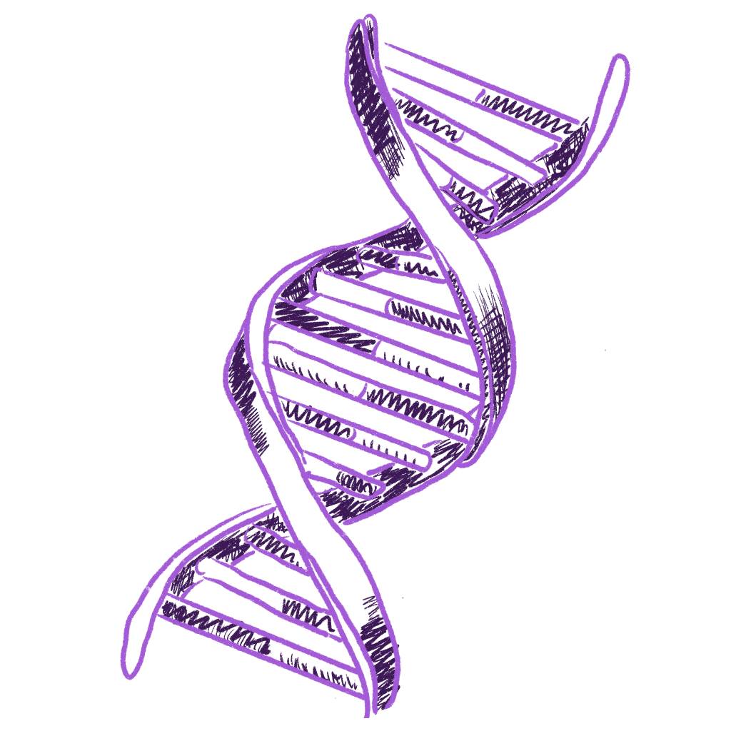 The Science of Aging with Lifespan Podcast (Huberman Lab Podcast Guest: David&nbsp;Sinclair)