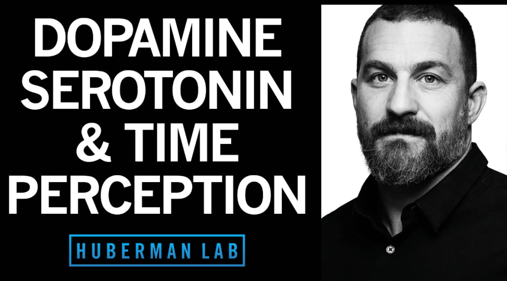 Huberman’s Lab: Time Perception with Dopamine and&nbsp;Serotonin