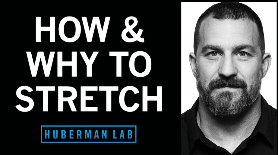 Huberman’s Lab: Why and How Do We&nbsp;Stretch?